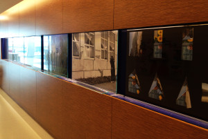Multi-panel printed glass display created and installed by Glass Graphics of Atlanta.